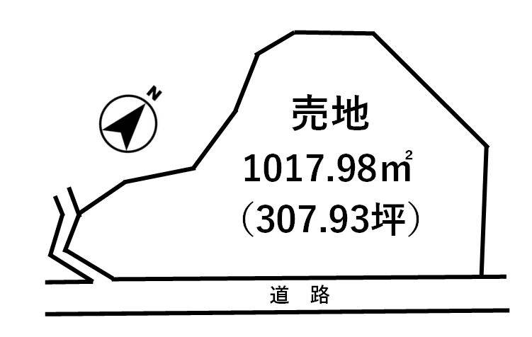 土地図